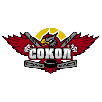Логотип команды Сокол Кк