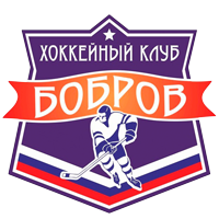 Логотип команды - ХК ЭкоНива-Бобров