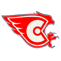 Логотип команды - Сокол Нчб